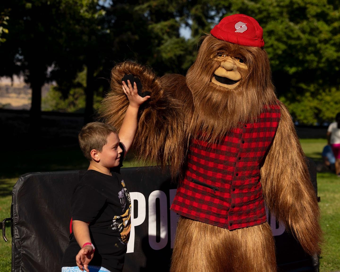 entit, 开拓者官方