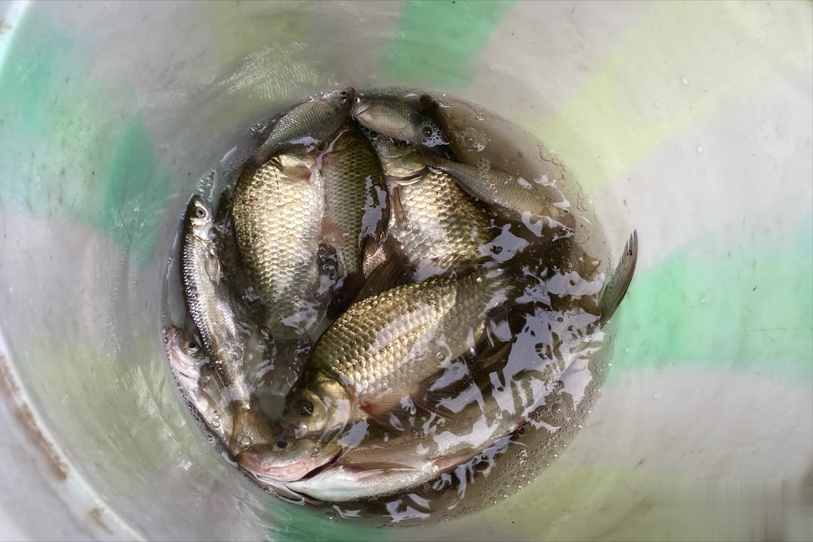 得轻手轻 得轻手轻