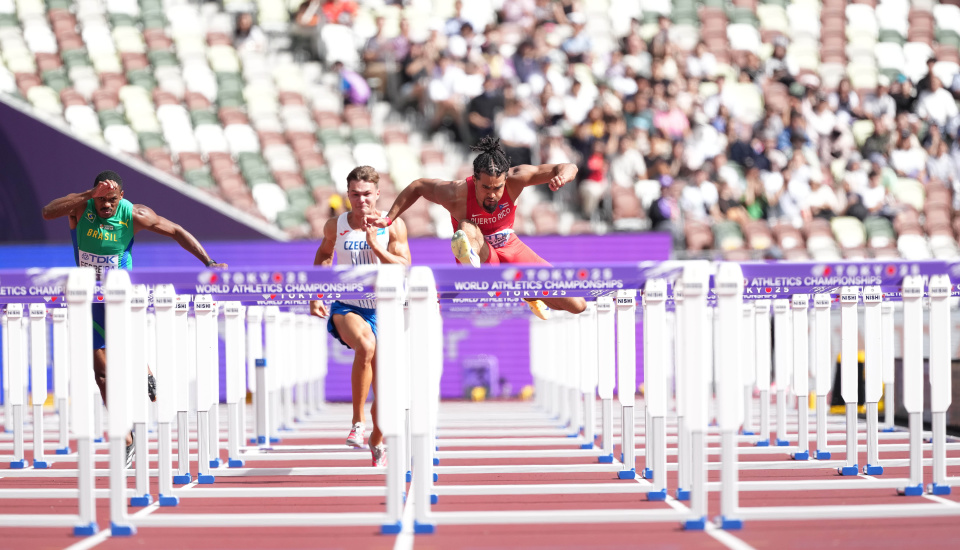 波多黎各选, RWd